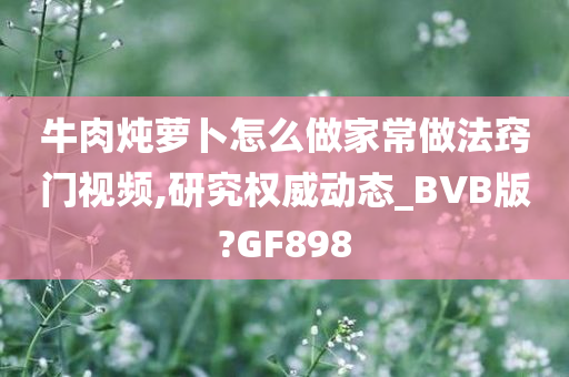 牛肉炖萝卜怎么做家常做法窍门视频,研究权威动态_BVB版?GF898