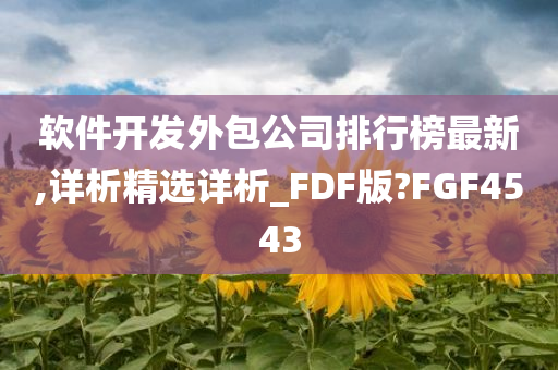 软件开发外包公司排行榜最新,详析精选详析_FDF版?FGF4543