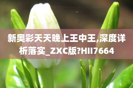 新奥彩天天晚上王中王,深度详析落实_ZXC版?HII7664