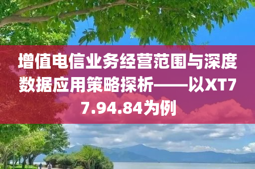 增值电信业务经营范围与深度数据应用策略探析——以XT77.94.84为例