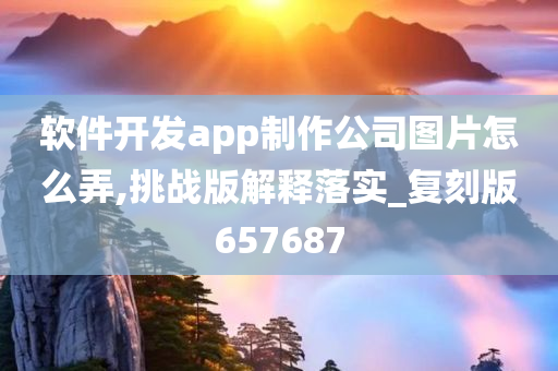 软件开发app制作公司图片怎么弄,挑战版解释落实_复刻版657687