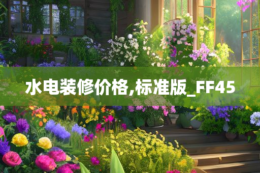 水电装修价格,标准版_FF45