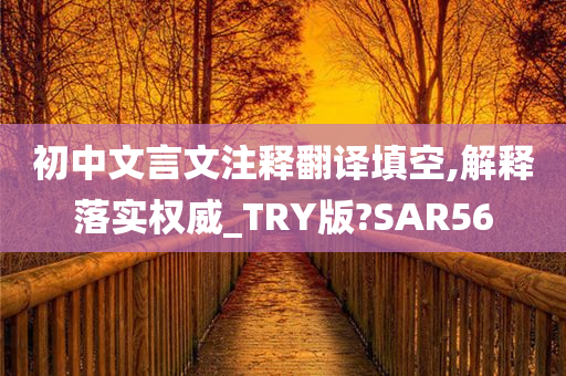 初中文言文注释翻译填空,解释落实权威_TRY版?SAR56