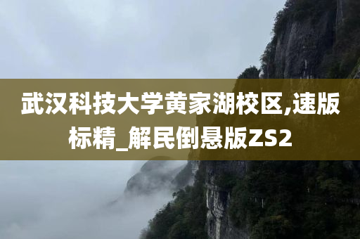 武汉科技大学黄家湖校区,速版标精_解民倒悬版ZS2