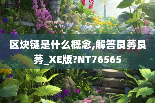 区块链是什么概念,解答良莠良莠_XE版?NT76565