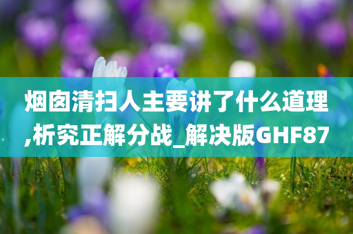 烟囱清扫人主要讲了什么道理,析究正解分战_解决版GHF87