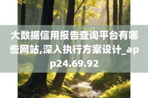 大数据信用报告查询平台有哪些网站,深入执行方案设计_app24.69.92