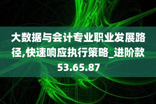 大数据与会计专业职业发展路径,快速响应执行策略_进阶款53.65.87