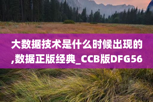 大数据技术是什么时候出现的,数据正版经典_CCB版DFG56