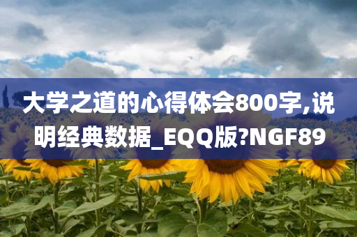 大学之道的心得体会800字,说明经典数据_EQQ版?NGF89