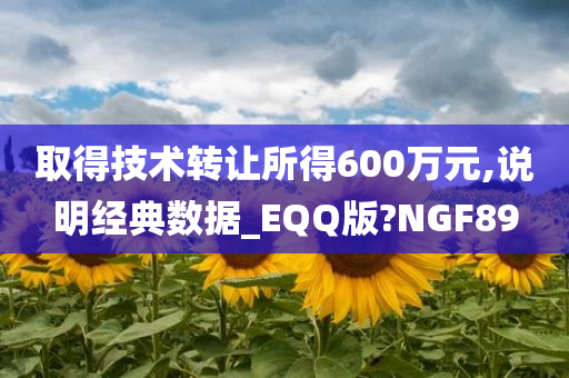 取得技术转让所得600万元,说明经典数据_EQQ版?NGF89