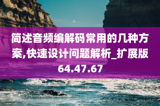 简述音频编解码常用的几种方案,快速设计问题解析_扩展版64.47.67