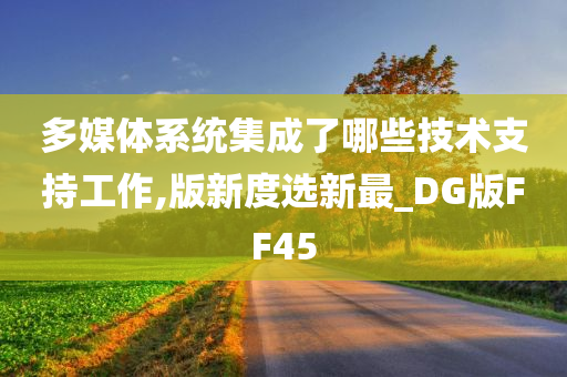 多媒体系统集成了哪些技术支持工作,版新度选新最_DG版FF45