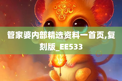 管家婆内部精选资料一首页,复刻版_EE533