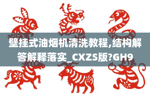 壁挂式油烟机清洗教程,结构解答解释落实_CXZS版?GH9