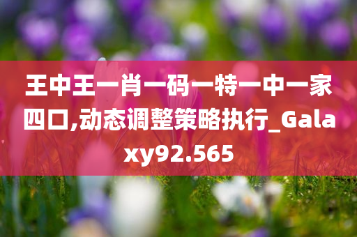 王中王一肖一码一特一中一家四口,动态调整策略执行_Galaxy92.565