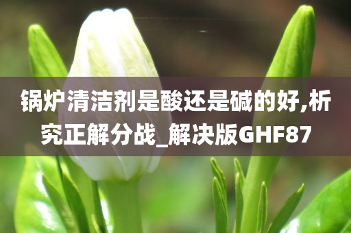 锅炉清洁剂是酸还是碱的好,析究正解分战_解决版GHF87