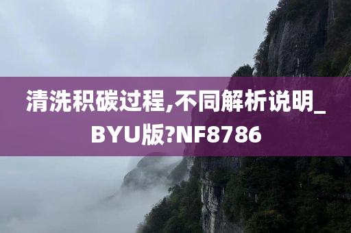 清洗积碳过程,不同解析说明_BYU版?NF8786