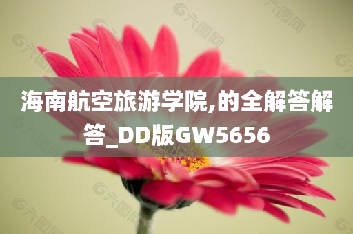 海南航空旅游学院,的全解答解答_DD版GW5656