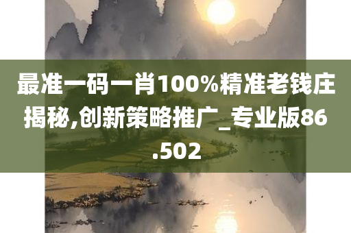 最准一码一肖100%精准老钱庄揭秘,创新策略推广_专业版86.502