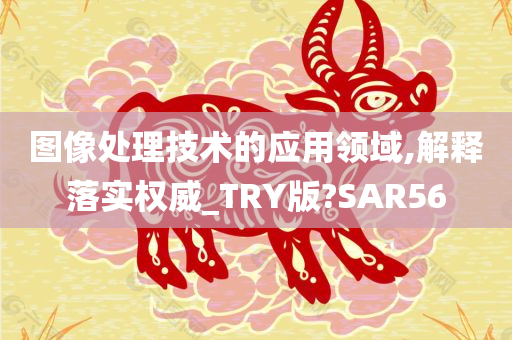 图像处理技术的应用领域,解释落实权威_TRY版?SAR56