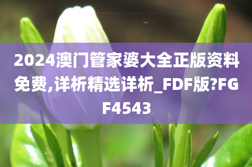 2024澳门管家婆大全正版资料免费,详析精选详析_FDF版?FGF4543