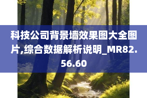 科技公司背景墙效果图大全图片,综合数据解析说明_MR82.56.60