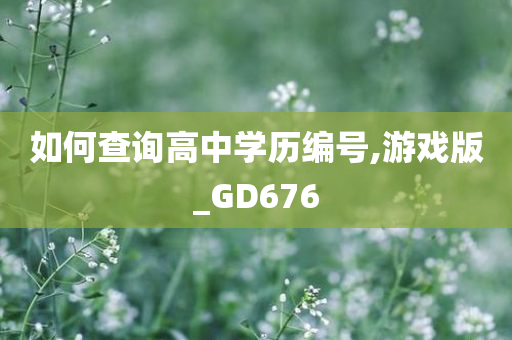 如何查询高中学历编号,游戏版_GD676