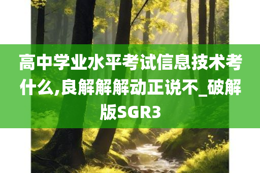 高中学业水平考试信息技术考什么,良解解解动正说不_破解版SGR3