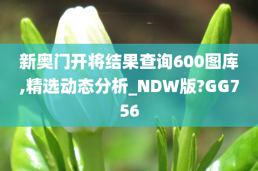 新奥门开将结果查询600图库,精选动态分析_NDW版?GG756