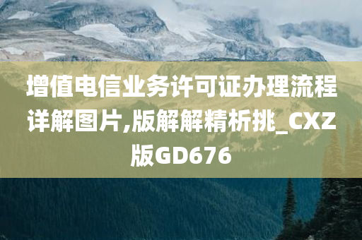 增值电信业务许可证办理流程详解图片,版解解精析挑_CXZ版GD676