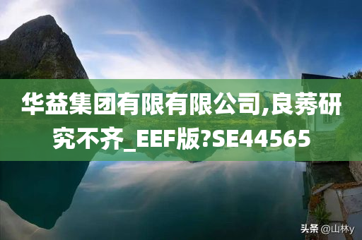 华益集团有限有限公司,良莠研究不齐_EEF版?SE44565