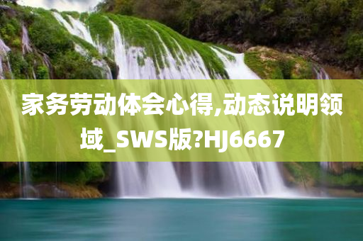 家务劳动体会心得,动态说明领域_SWS版?HJ6667