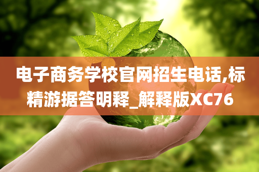 电子商务学校官网招生电话,标精游据答明释_解释版XC76