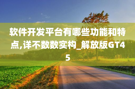 软件开发平台有哪些功能和特点,详不数数实构_解放版GT45