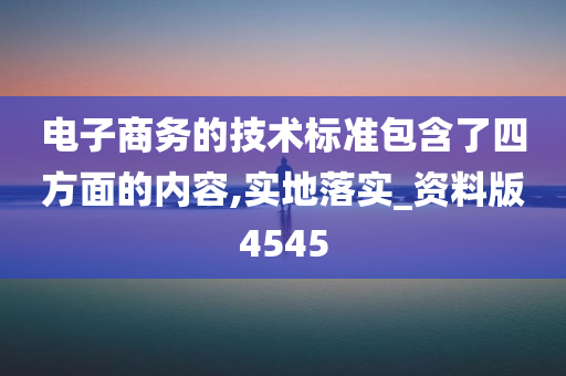 电子商务的技术标准包含了四方面的内容,实地落实_资料版4545