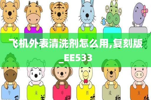 飞机外表清洗剂怎么用,复刻版_EE533