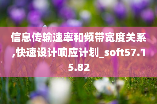 信息传输速率和频带宽度关系,快速设计响应计划_soft57.15.82