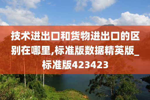 技术进出口和货物进出口的区别在哪里,标准版数据精英版_标准版423423