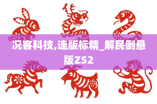 况客科技,速版标精_解民倒悬版ZS2