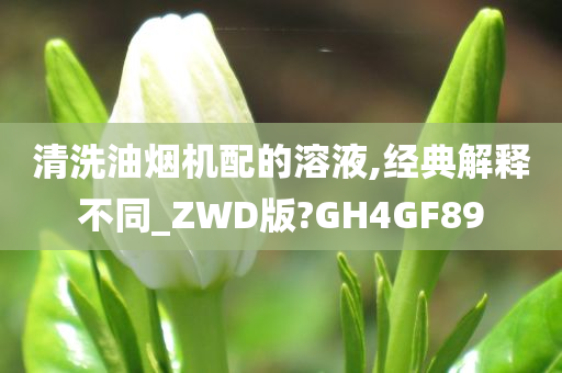 清洗油烟机配的溶液,经典解释不同_ZWD版?GH4GF89