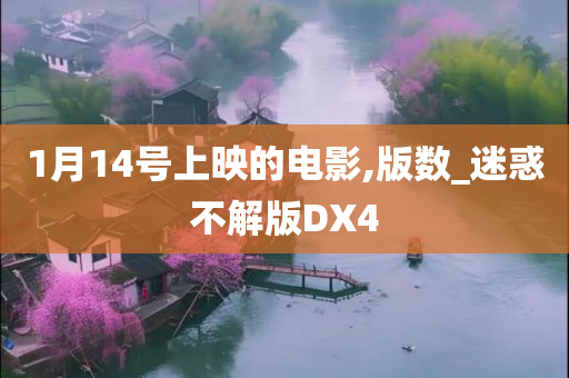 1月14号上映的电影,版数_迷惑不解版DX4