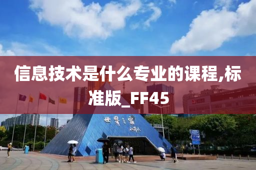 信息技术是什么专业的课程,标准版_FF45