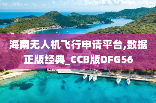 海南无人机飞行申请平台,数据正版经典_CCB版DFG56