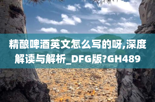 精酿啤酒英文怎么写的呀,深度解读与解析_DFG版?GH489