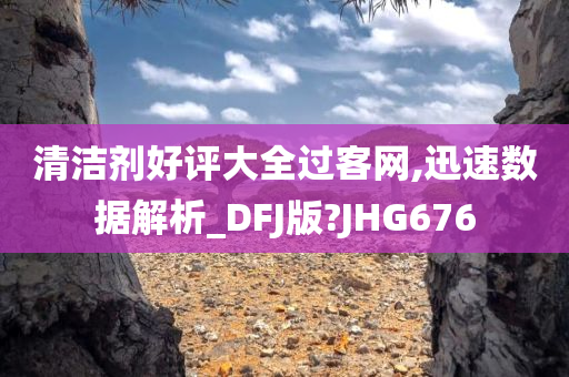 清洁剂好评大全过客网,迅速数据解析_DFJ版?JHG676