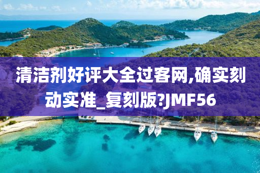 清洁剂好评大全过客网,确实刻动实准_复刻版?JMF56