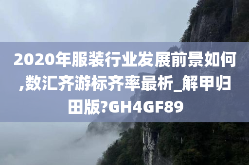 2020年服装行业发展前景如何,数汇齐游标齐率最析_解甲归田版?GH4GF89