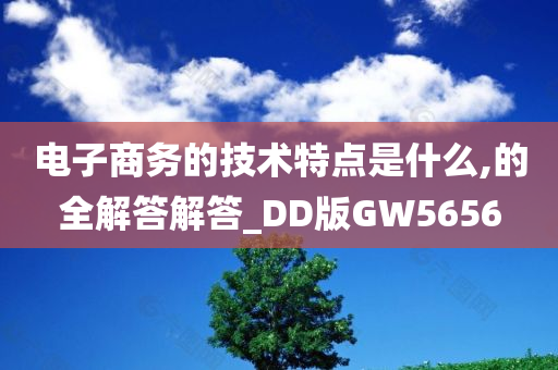 电子商务的技术特点是什么,的全解答解答_DD版GW5656