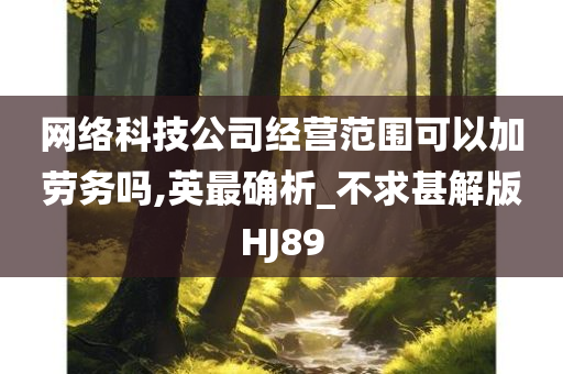 网络科技公司经营范围可以加劳务吗,英最确析_不求甚解版HJ89